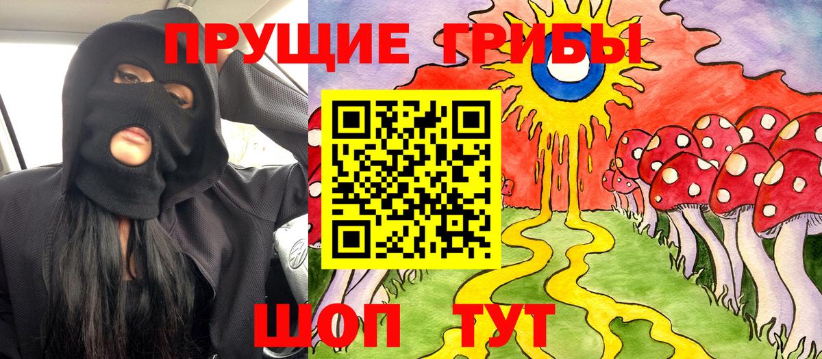 Псилоцибиновые грибы Psilocybe Печора