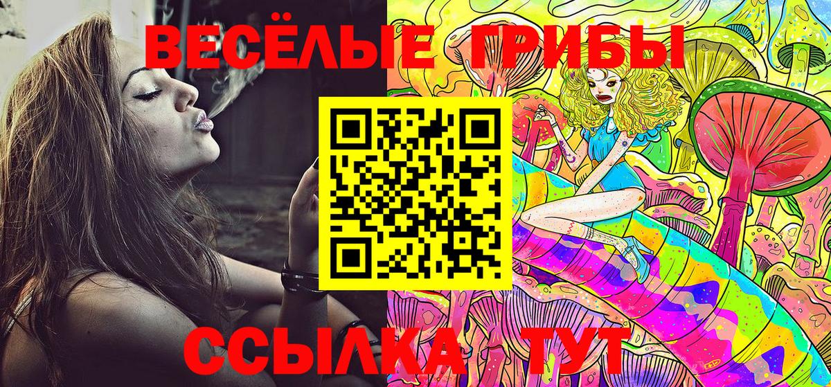 Псилоцибиновые грибы Psilocybe  купить наркоту  Печора  Вход с VPN 